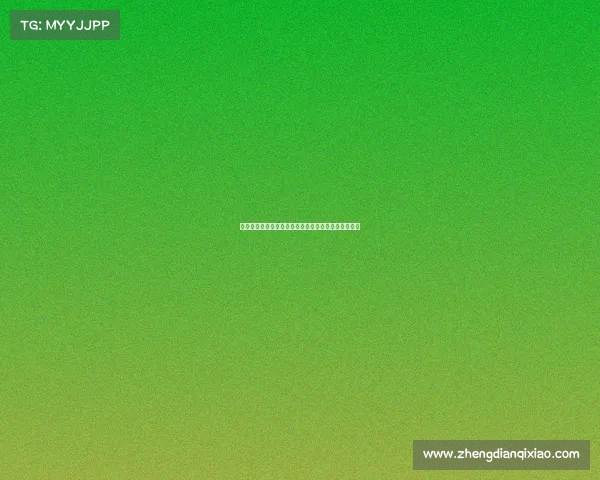 凯恩高度评价特尔潜力巨大期待他在英超赛场大放异彩