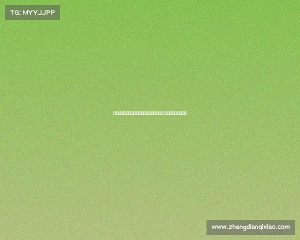 西甲升班马埃尔切租借加的斯后卫丘斯特加盟 强化防线助力新赛季